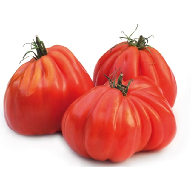 Pomidor Bawole serce około 500g