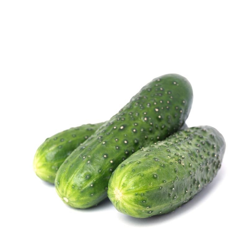Ogórek gruntowy duży 1kg