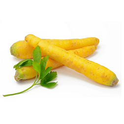 Marchew żółta 0,5kg